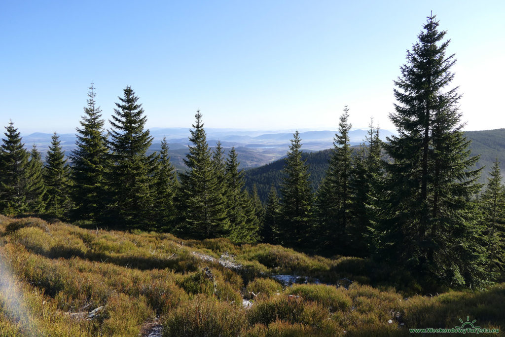 Niebieski Szlak na Czoło - panorama przedgórza