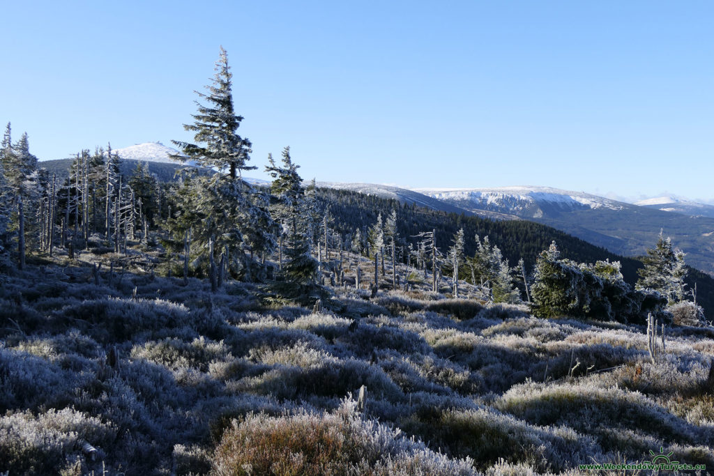 Niebieski Szlak na Czoło - panorama Karkonoszy