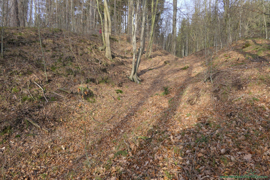 Sztolnie w Leśnej -Leśna Góra -ślady prac