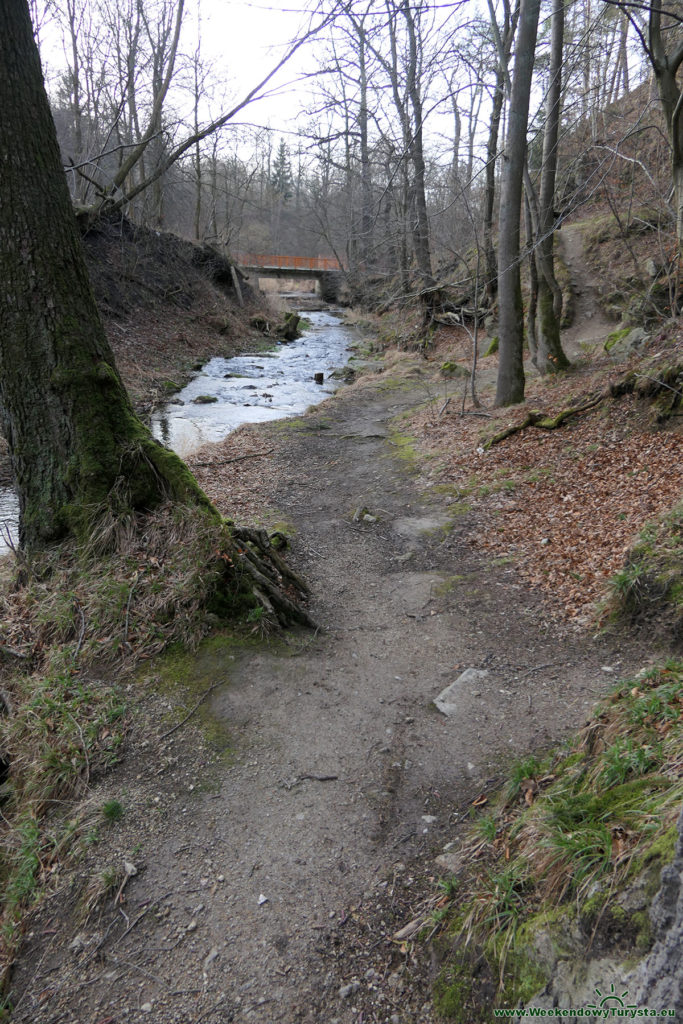 Sztolnie w Leśnej - potok