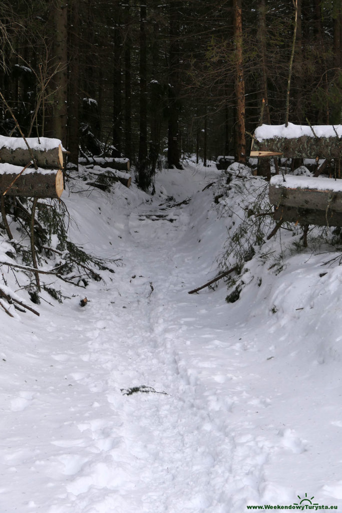 Tatrzański Park Narodowy - Staników Żleb