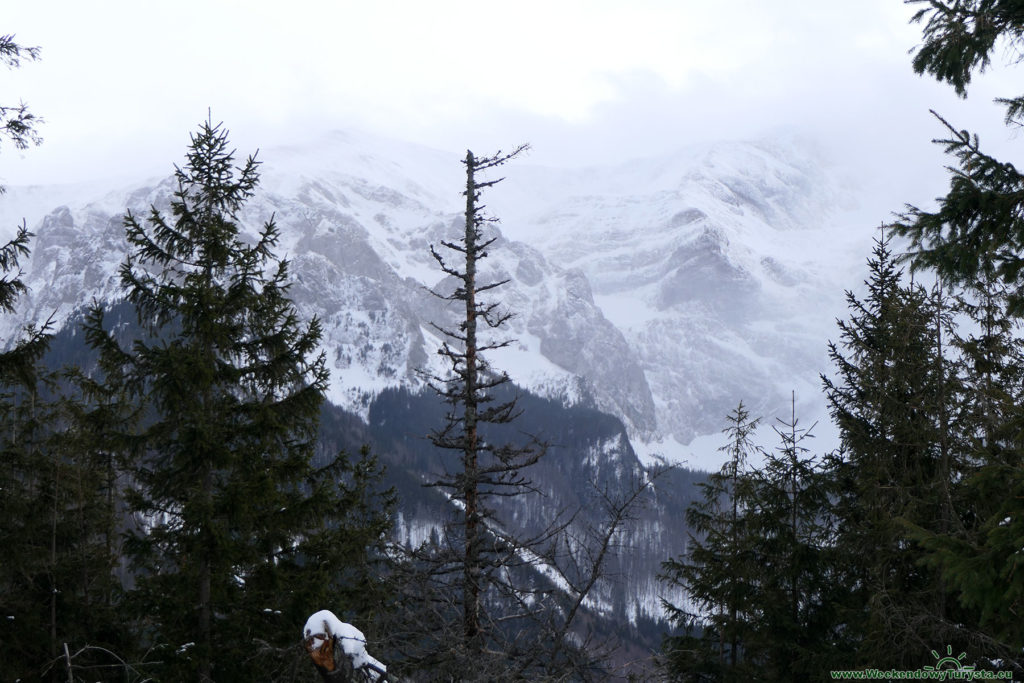 Tatrzański Park Narodowy - widok na wysokie Tatry