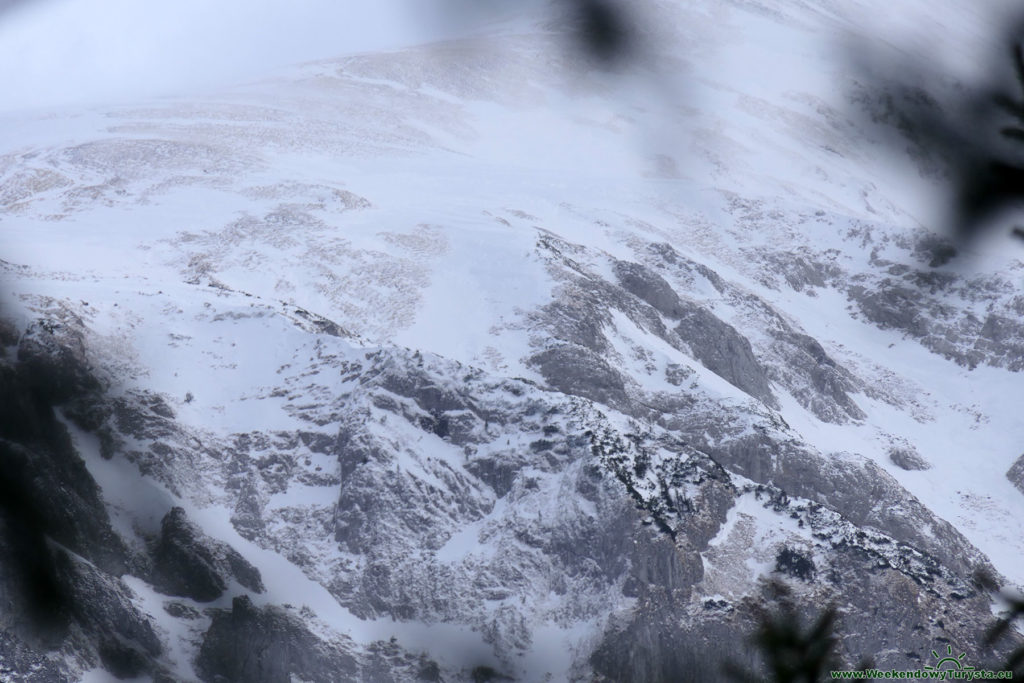 Tatrzański Park Narodowy - widok na wysokie Tatry