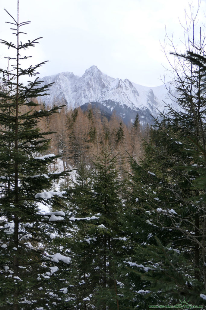 Tatrzański Park Narodowy - widok na wysokie Tatry