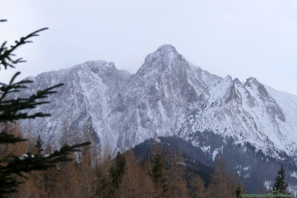 Tatrzański Park Narodowy - widok na wysokie Tatry