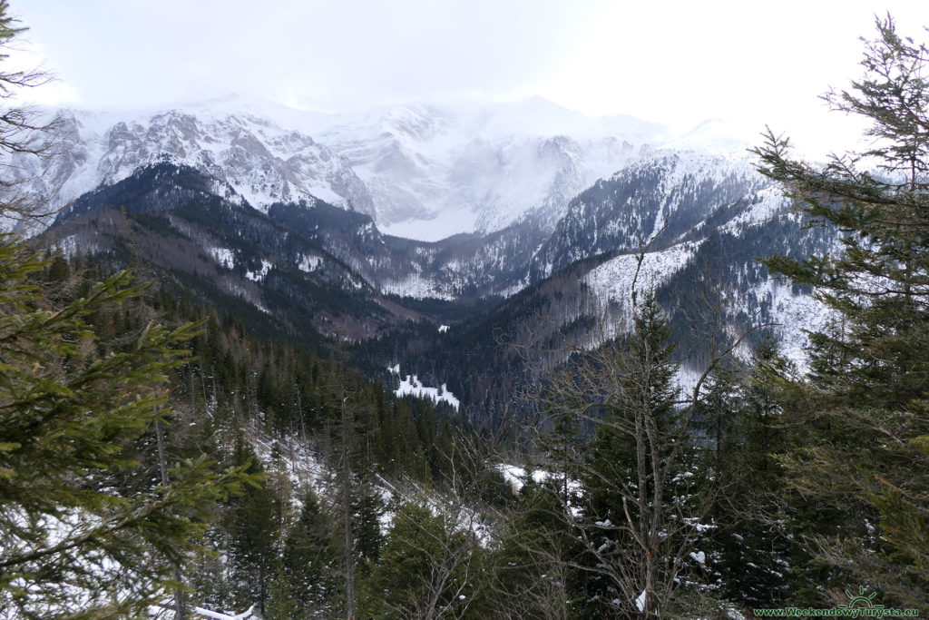 Tatrzański Park Narodowy - widok na wysokie Tatry