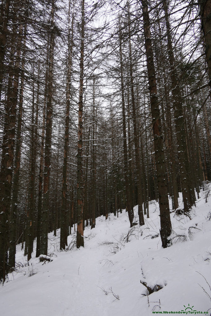 Tatrzański Park Narodowy - czarny szlak