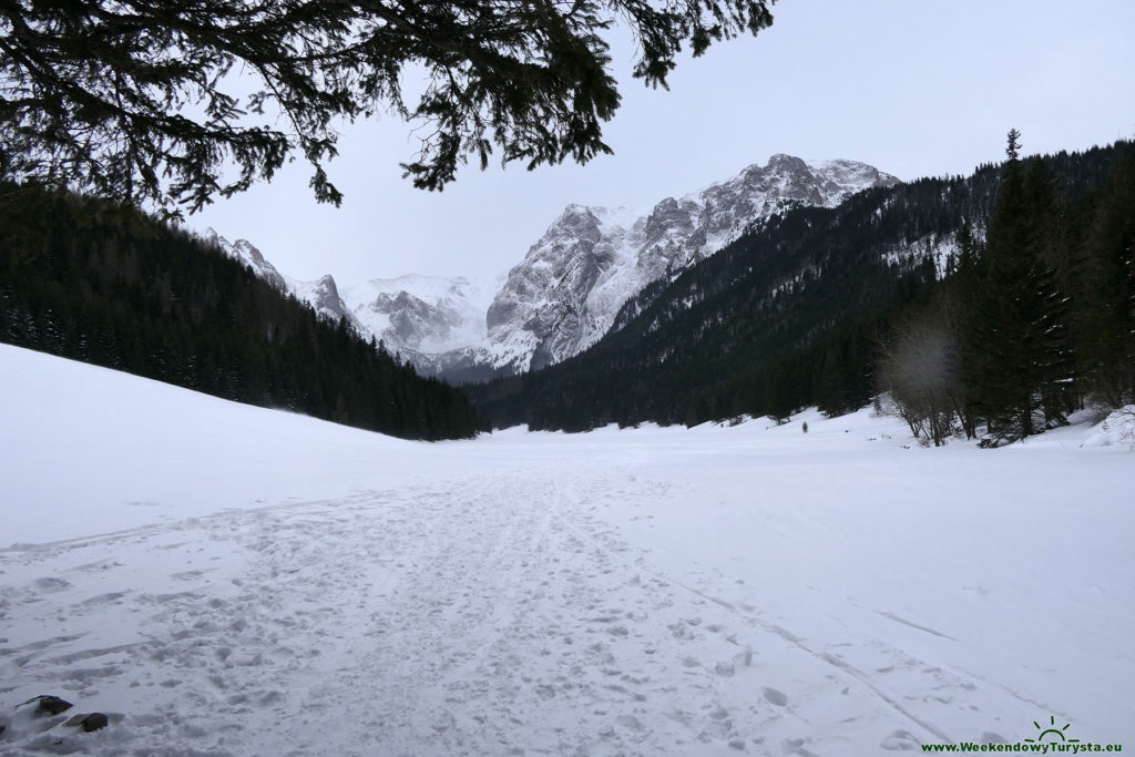 Tatry - Wielka Polana Małołącka - szlak z Staników Żleb