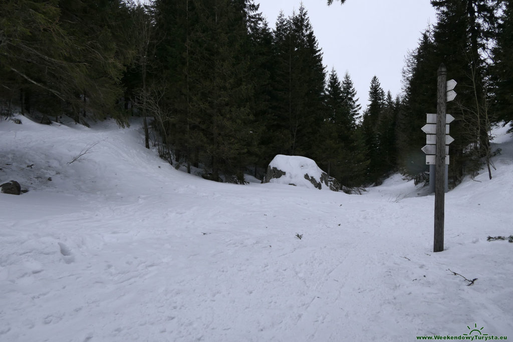 Tatrzański Park Narodowy - Wielka Polana Małołącka