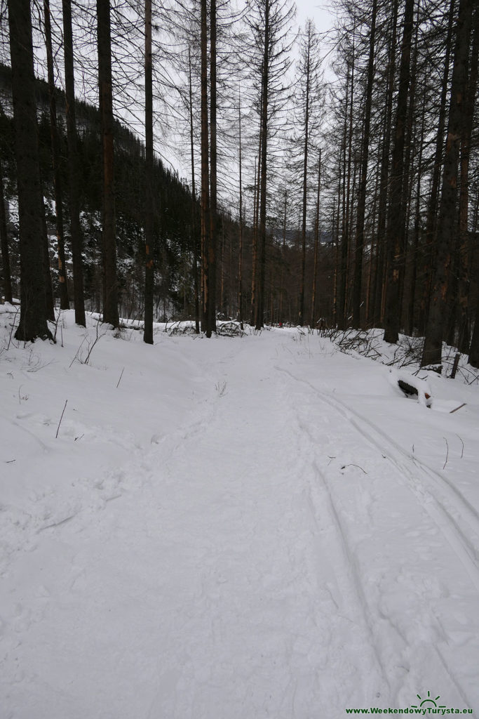 Tatrzański Park Narodowy - żółty szlak