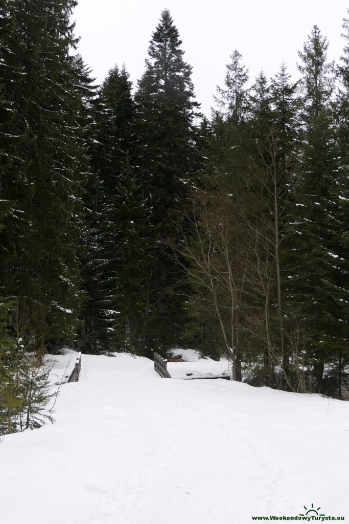 Tatrzański Park Narodowy - żółty szlak