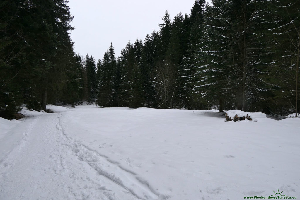 Tatrzański Park Narodowy - żółty szlak - Dolina Małej Łąki