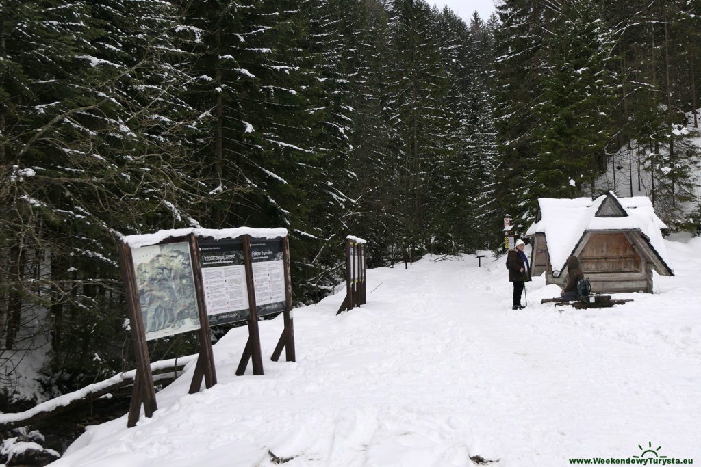 Tatrzański Park Narodowy - żółty szlak - wejście