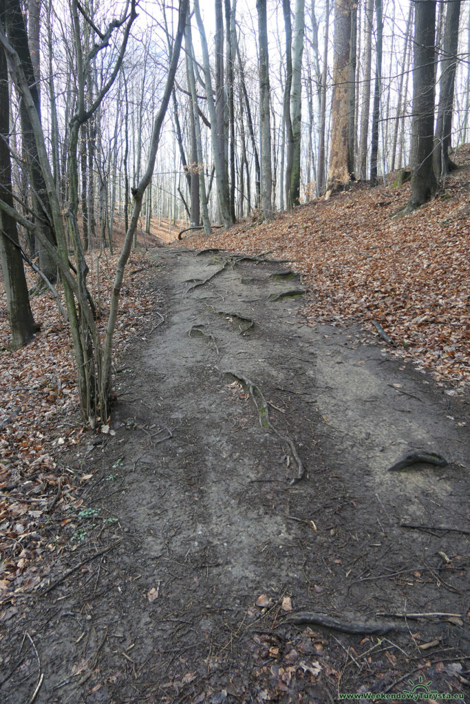 Ścieżka Hochbergów - Stary Książ