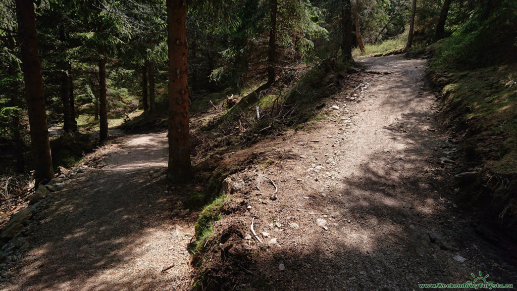 Single Track Szklarska