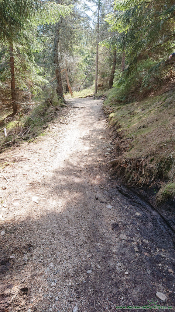 Single Track Szklarska