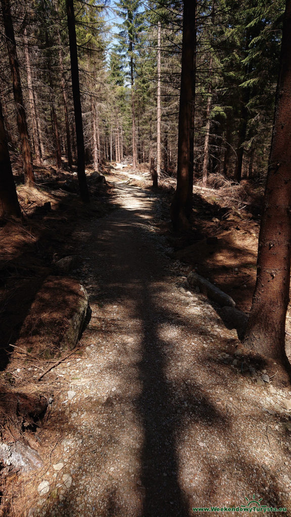 Single Track 14 - Szklarska - drugi odcinek