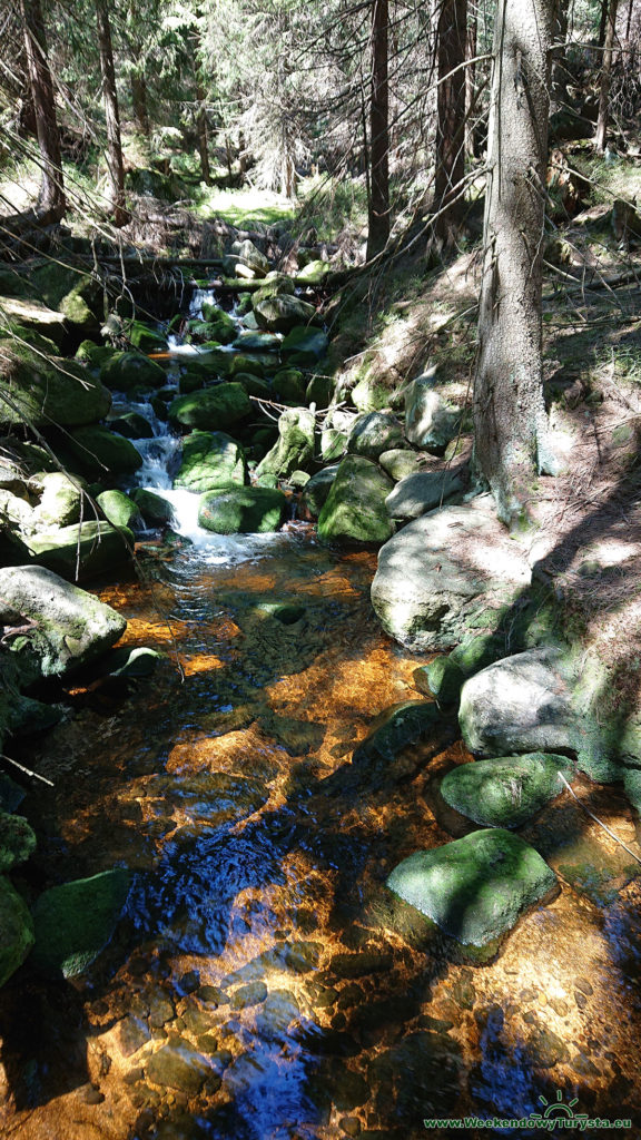 Single Track 14 - Szklarska - drugi odcinek