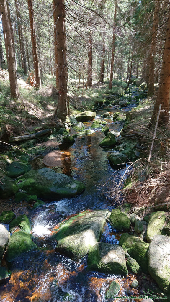 Single Track 14 - Szklarska - drugi odcinek