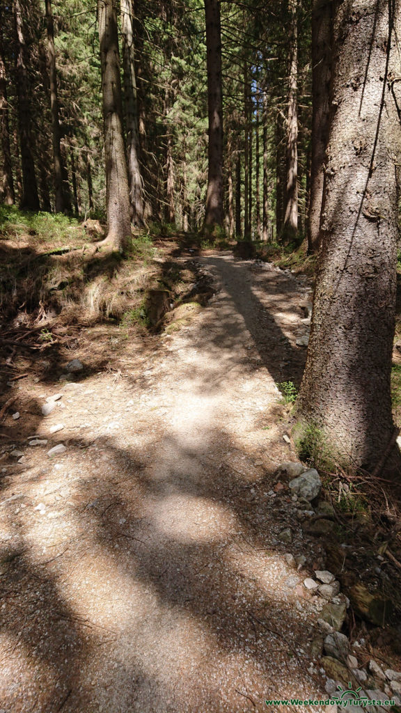 Single Track 14 - Szklarska - trzeci odcinek