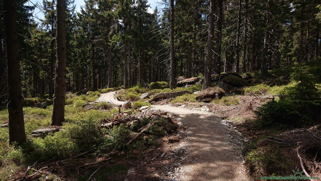 Single Track 14 - Szklarska - trzeci odcinek