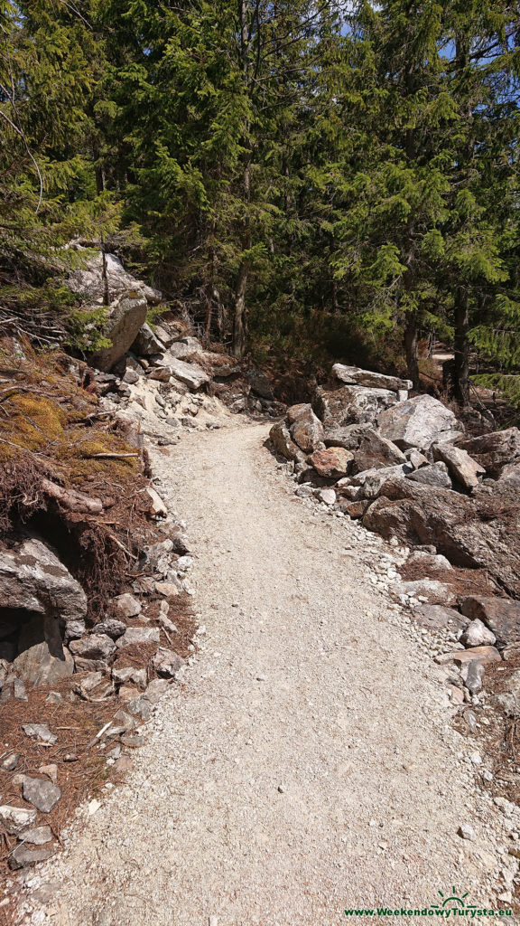 Single Track 14 - Szklarska - czwarty odcinek