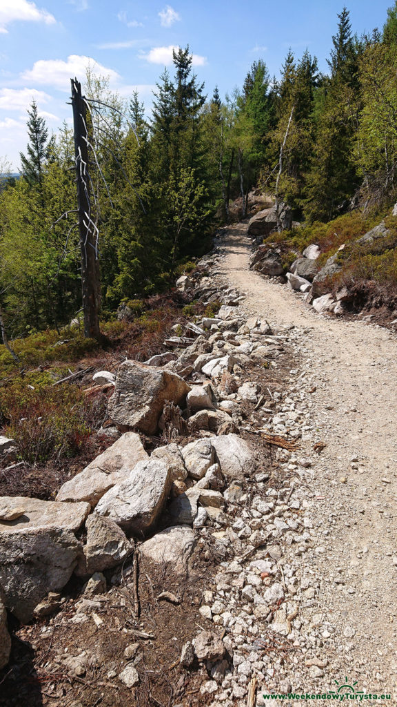 Single Track 14 - Szklarska - widok z trasy