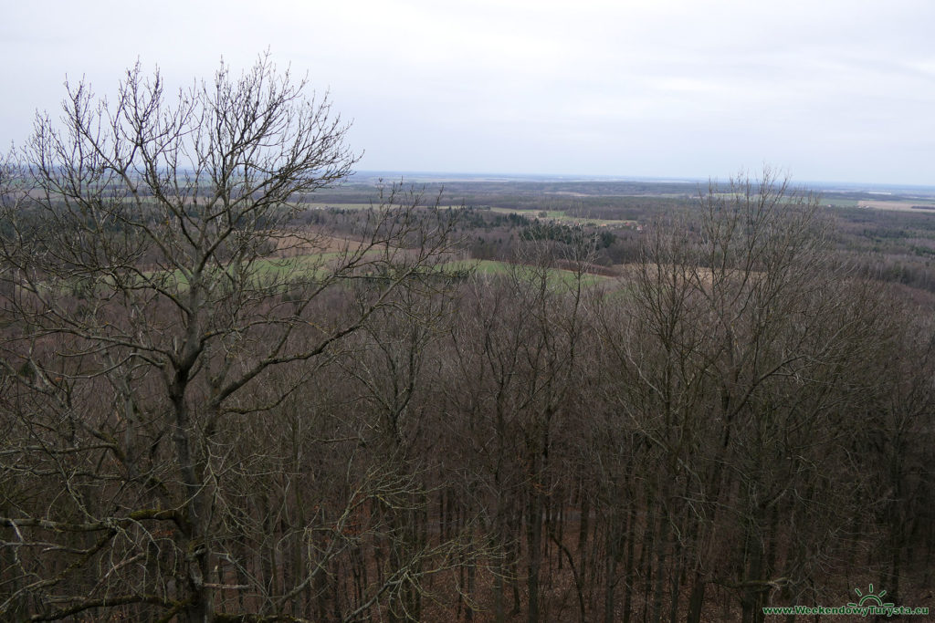 Zamek Grodziec - widok z murów