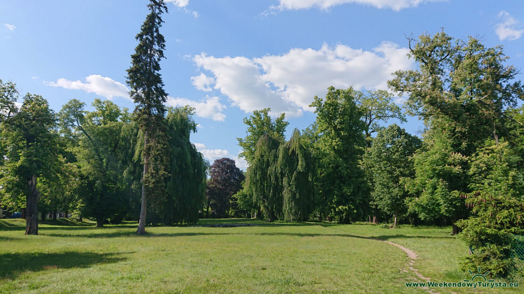 Park pałacowy w Nietkowie