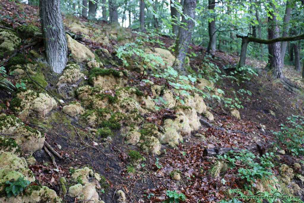 Łagów Lubuski - ścieżka rowerowa