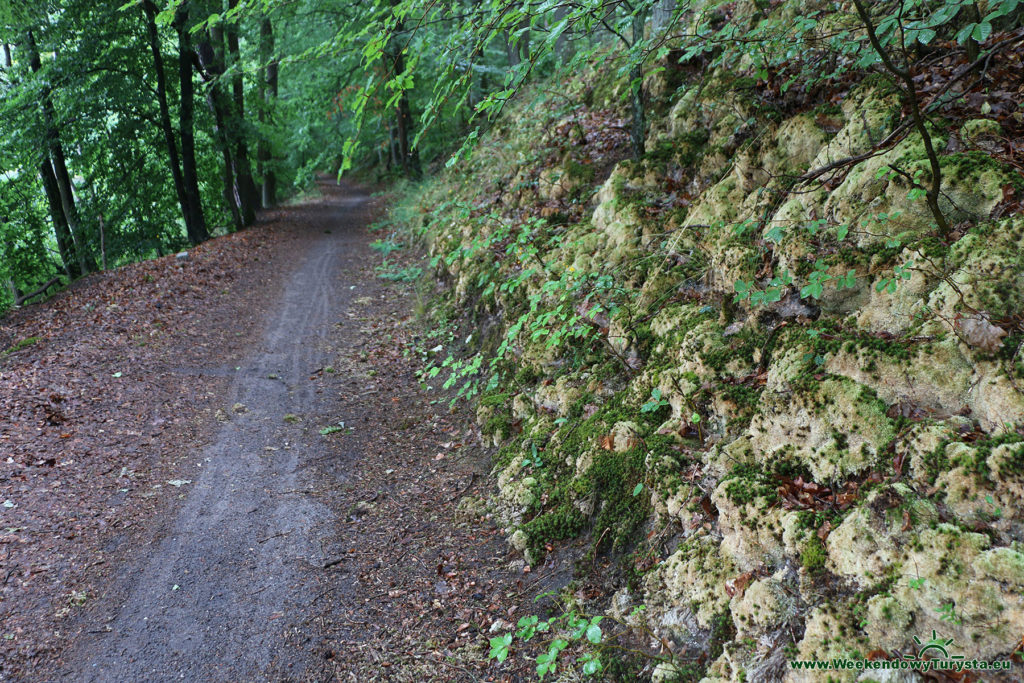 Łagów Lubuski - ścieżka rowerowa