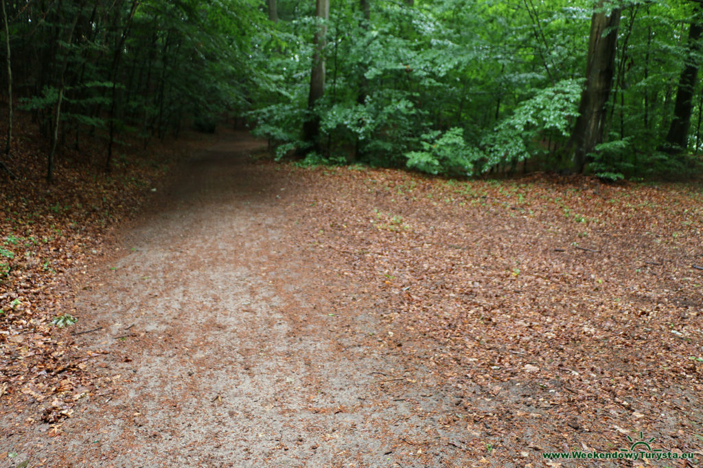 Łagów Lubuski - ścieżka rowerowa