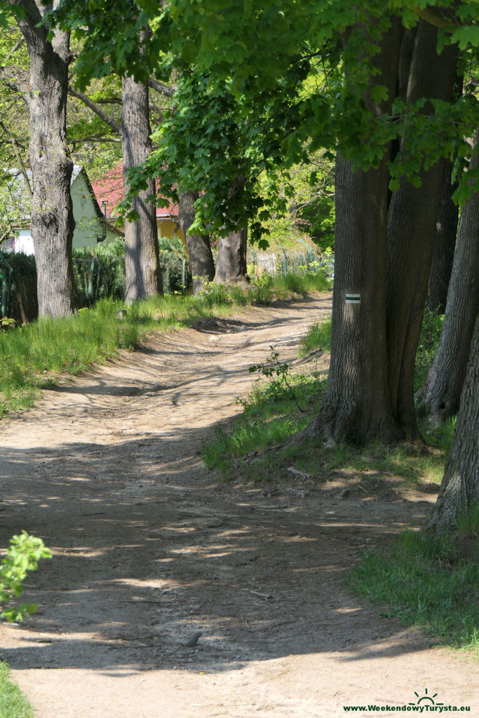 Jelenia Góra - zielony szlak