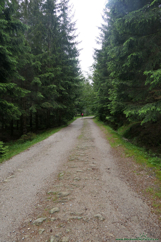 Żółty szlak do Schroniska pod Łabskim Szczytem