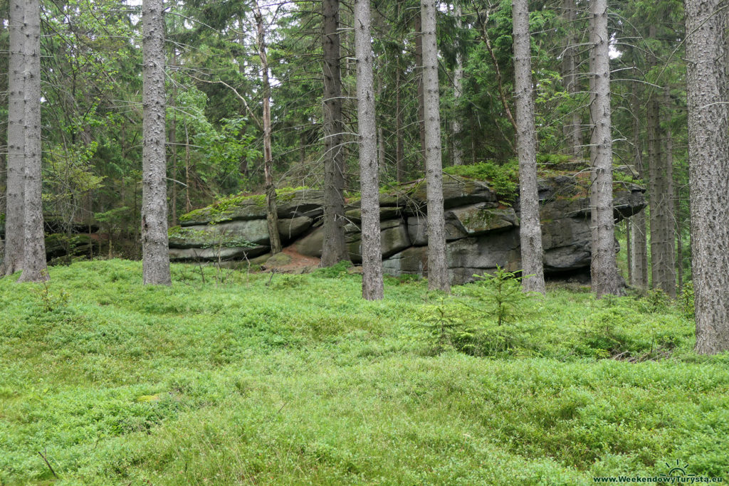 Żółty szlak do Schroniska pod Łabskim Szczytem