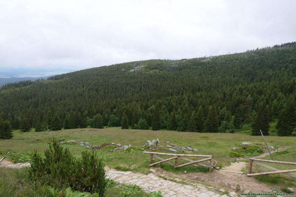 Widok spod Schroniska pod Łabskim Szczytem