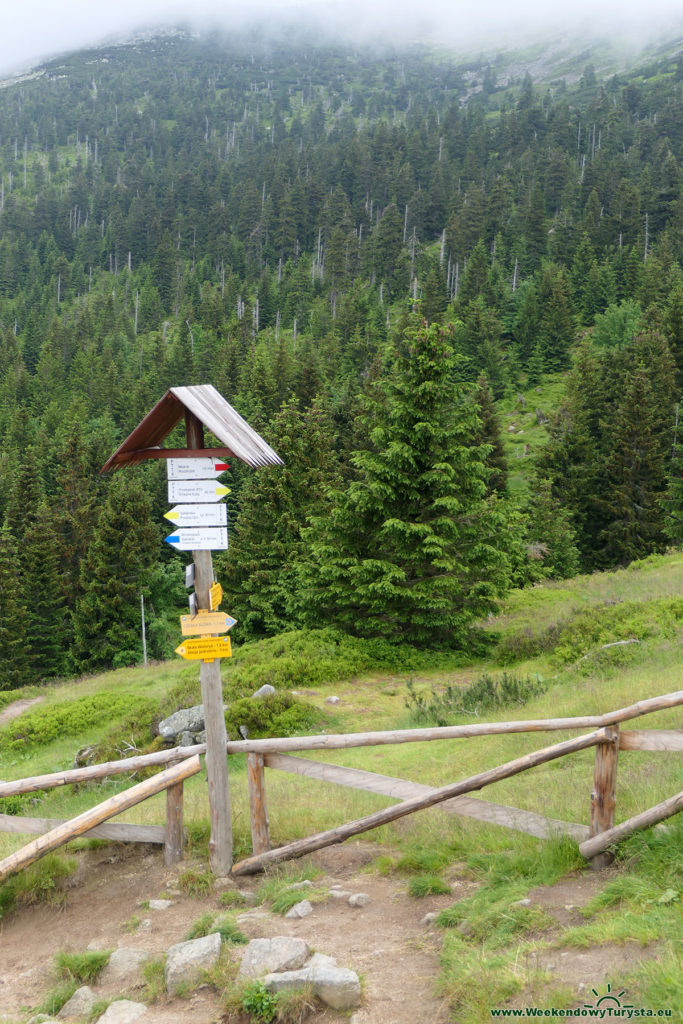 Widok spod Schroniska pod Łabskim Szczytem