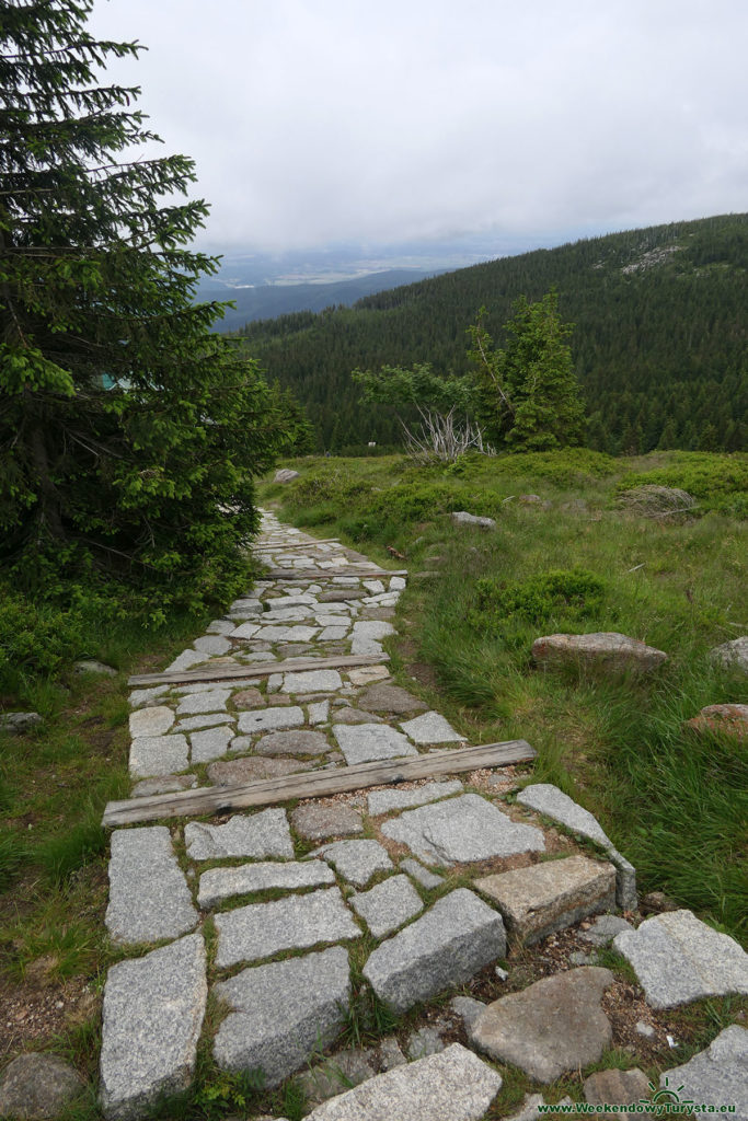 Widok spod Schroniska pod Łabskim Szczytem