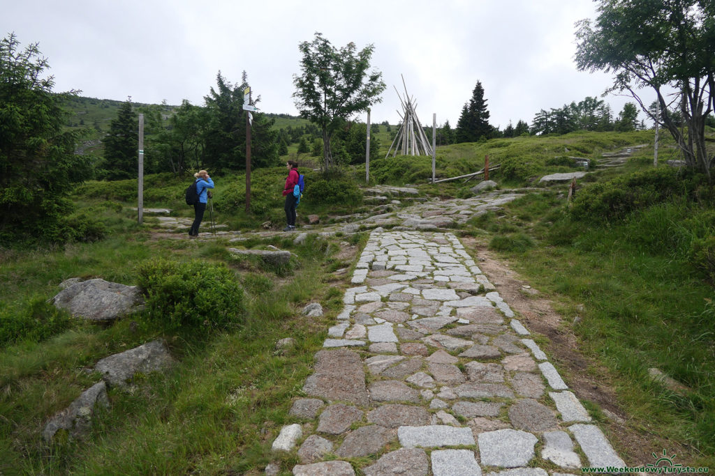 Rozwidlenie szlaków - Mokre Rozdroże