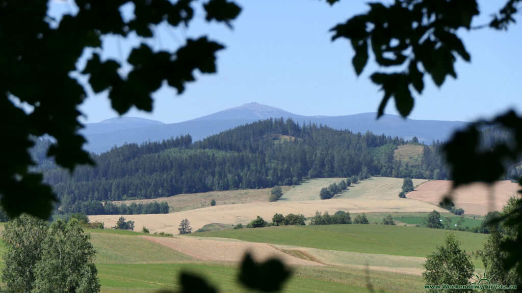 Szlak Żółty do Chełmska Śląskiego - Śnieżka