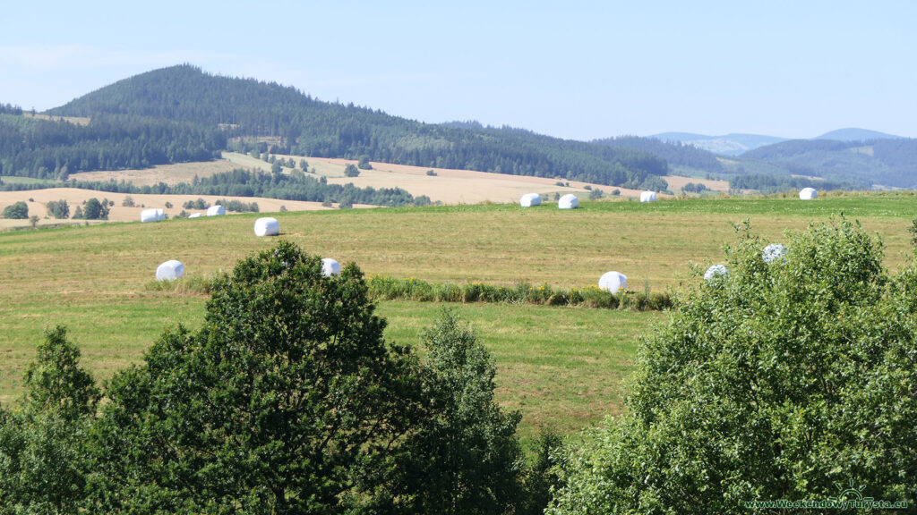 Niebieski Szlak koło Chełmska Śląskiego - panorama okolicy