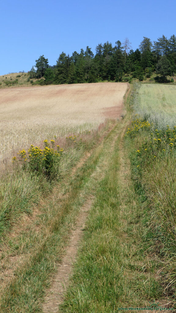 Niebieski Szlak koło Chełmska Śląskiego - panorama okolicy