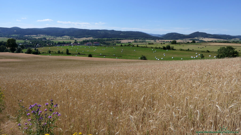 Niebieski Szlak koło Chełmska Śląskiego - panorama okolicy