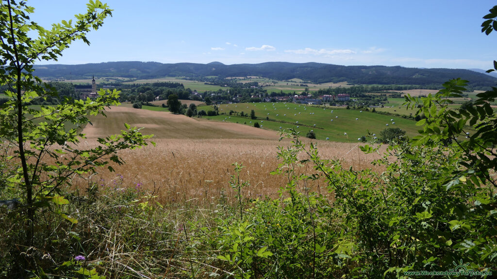 Niebieski Szlak koło Chełmska Śląskiego - panorama okolicy