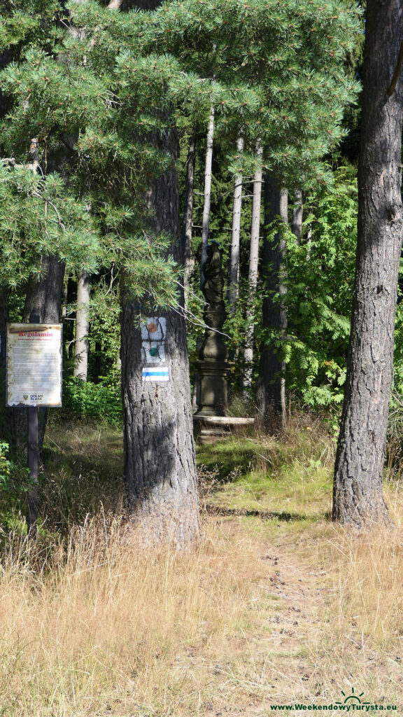 Niebieski Szlak koło Chełmska Śląskiego