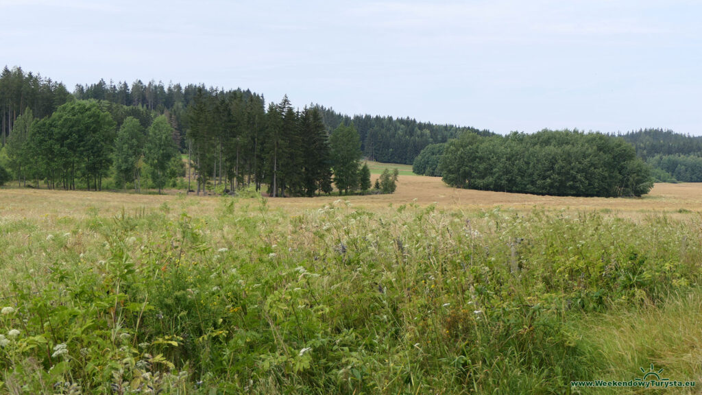 Dawny Kamienołom w Kochanowie