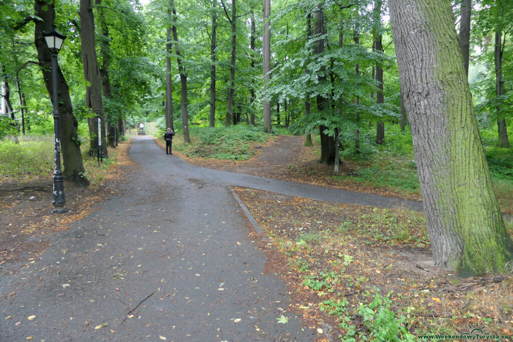 Wzgórze Kościuszki Park Miejski