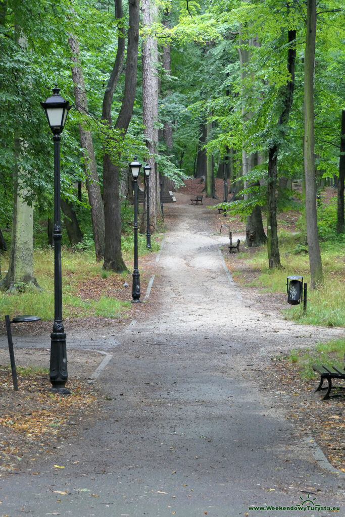 Wzgórze Kościuszki Park Miejski - alejki