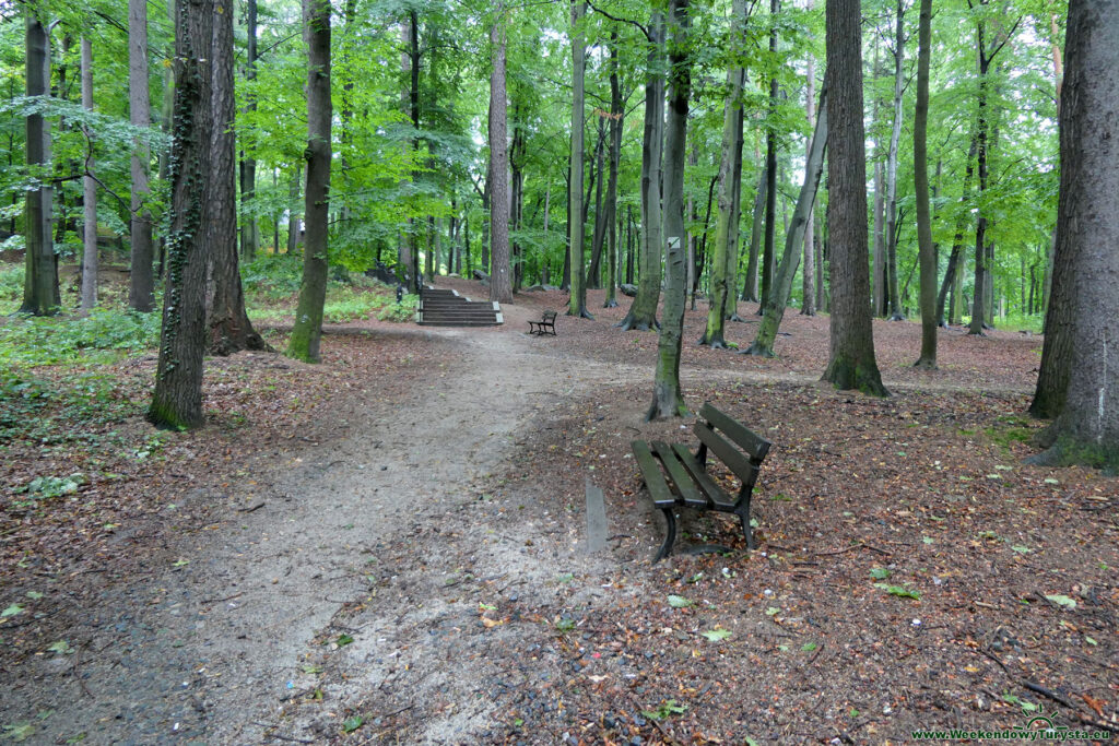 Wzgórze Kościuszki Park Miejski - alejki