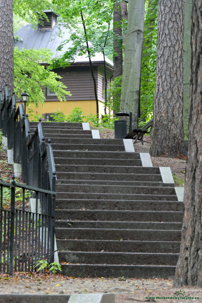 Wzgórze Kościuszki Park Miejski - alejki